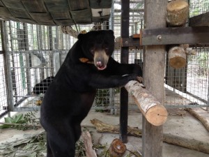 Jay in his new cage