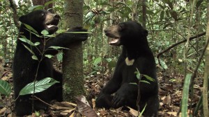 Bernie and Wawang in the forest