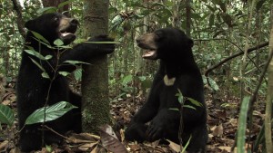 Bernie and Wawang in the forest