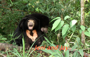 Jeni and Jay in Enclosure A