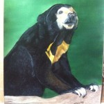 Sunbear 2