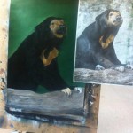 Sunbear 3