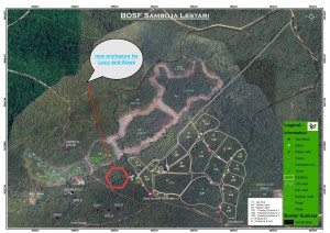 Map new enclosure for Lucy and Alaya