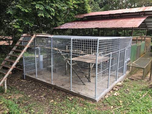 Renovated outdoor cage